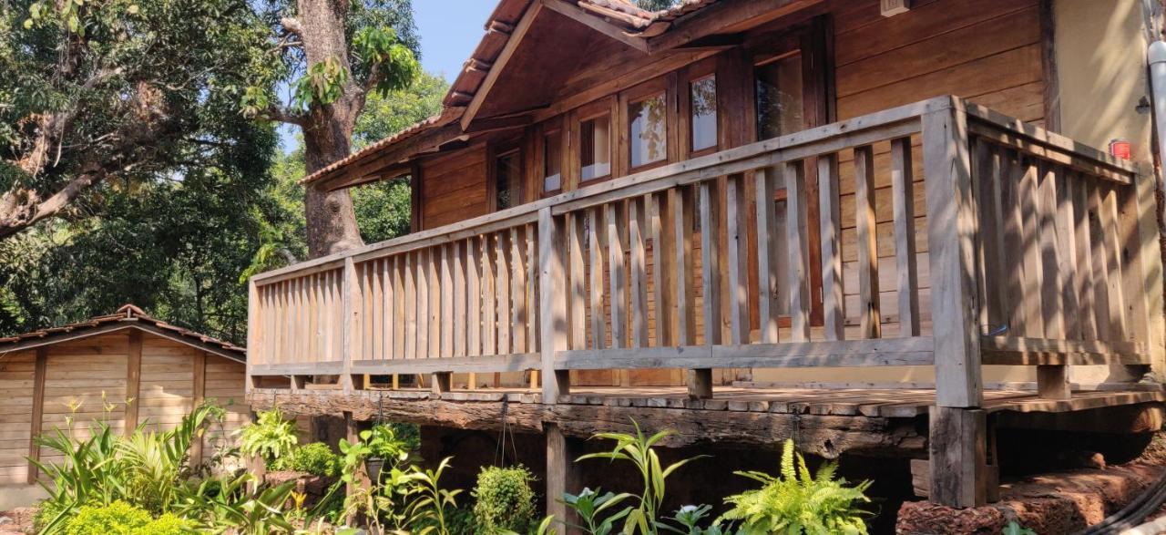 Eisra Wellness Retreat Arambol