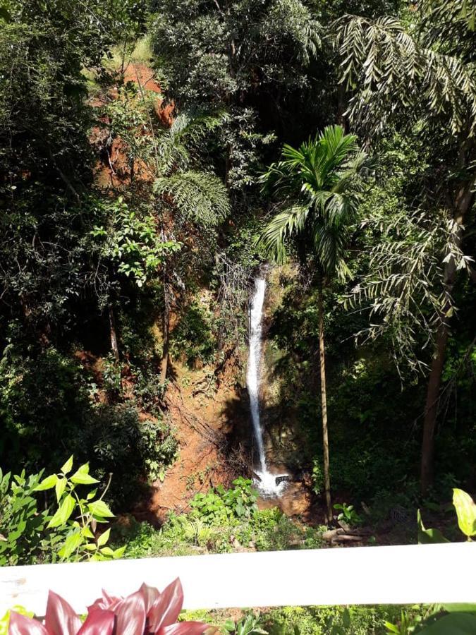 Eisra Wellness Retreat Resort