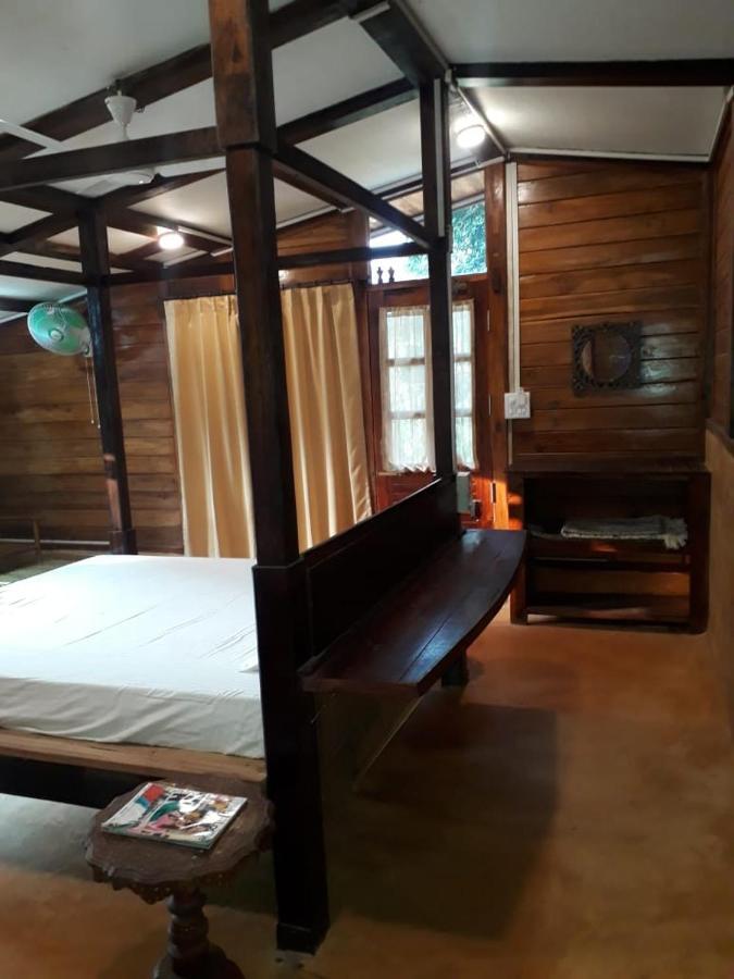 Eisra Wellness Retreat Arambol